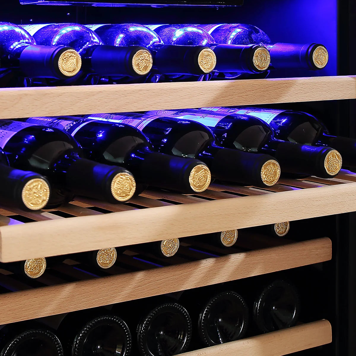 Empava EMPV-WC05S 55" Tall Single Zone Wine Fridge